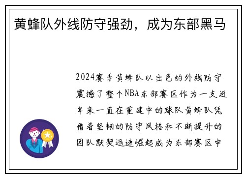 黄蜂队外线防守强劲，成为东部黑马